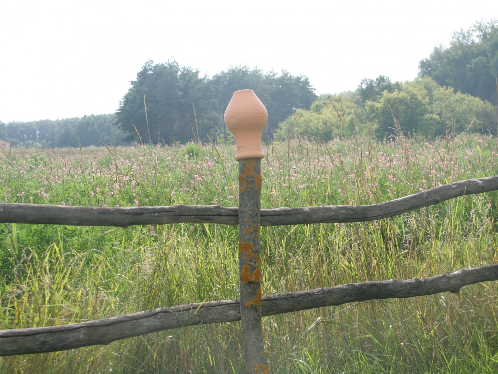 Белгородская область 2Rist