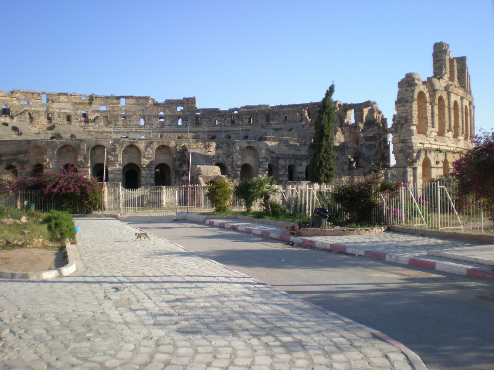 Амфитеатр в Эль-Джеме