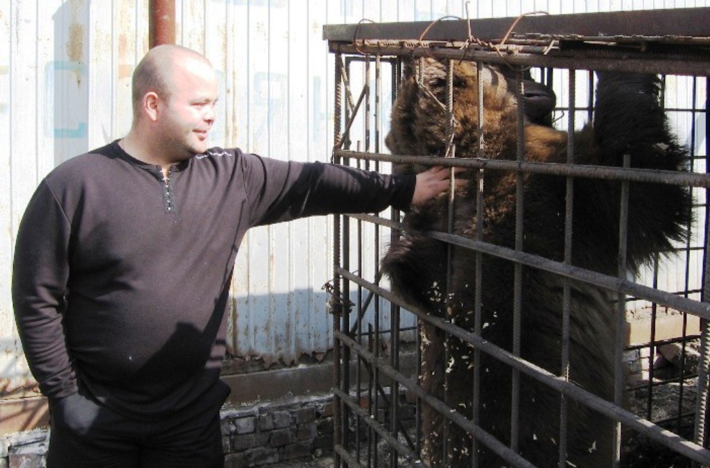 Добрые друзья