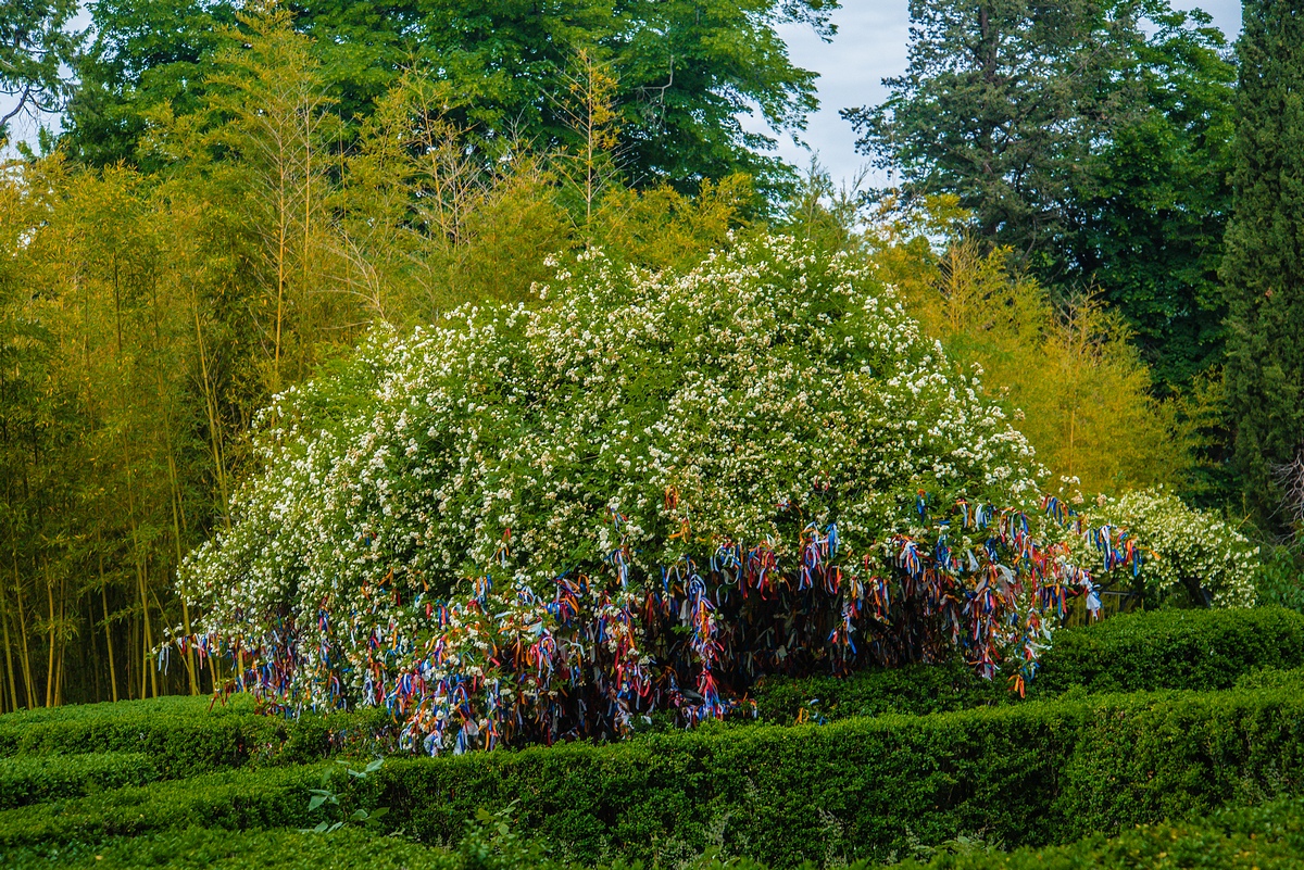 Усадьба А.Чавчавадзе в Цинандали