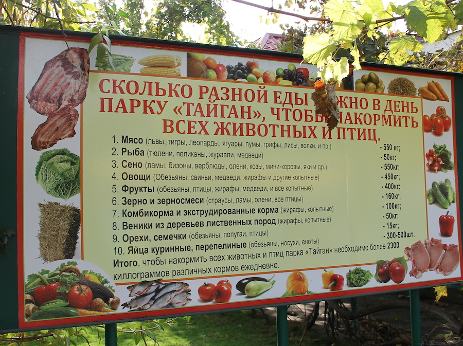 Тайганское меню