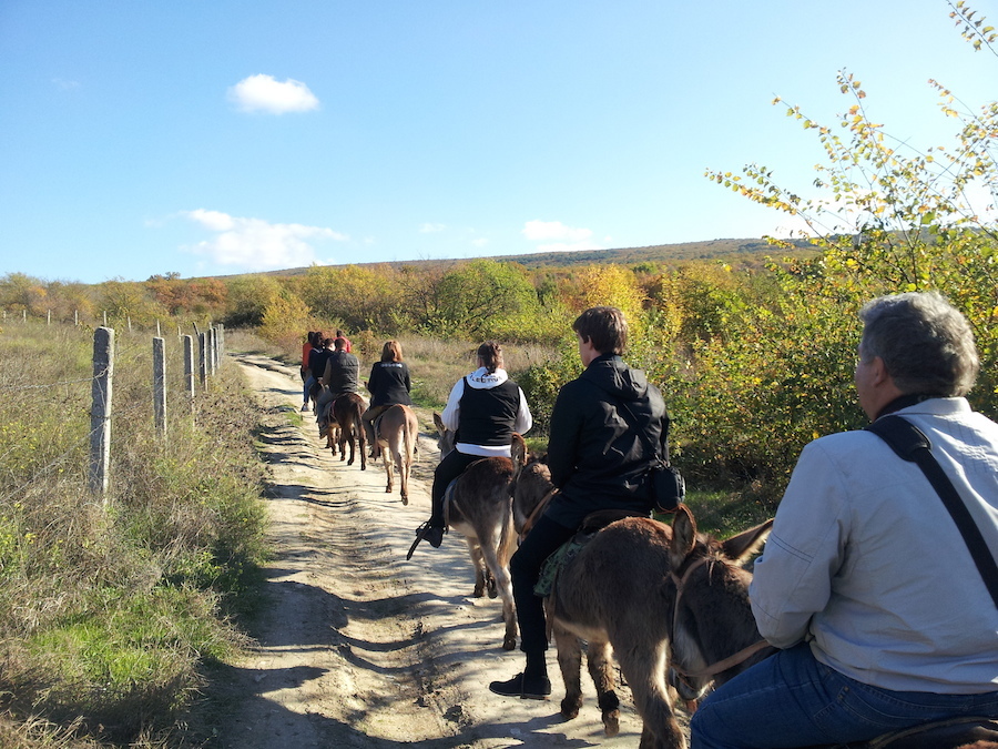 Прогулка на ослике к подножью горы Мангуп