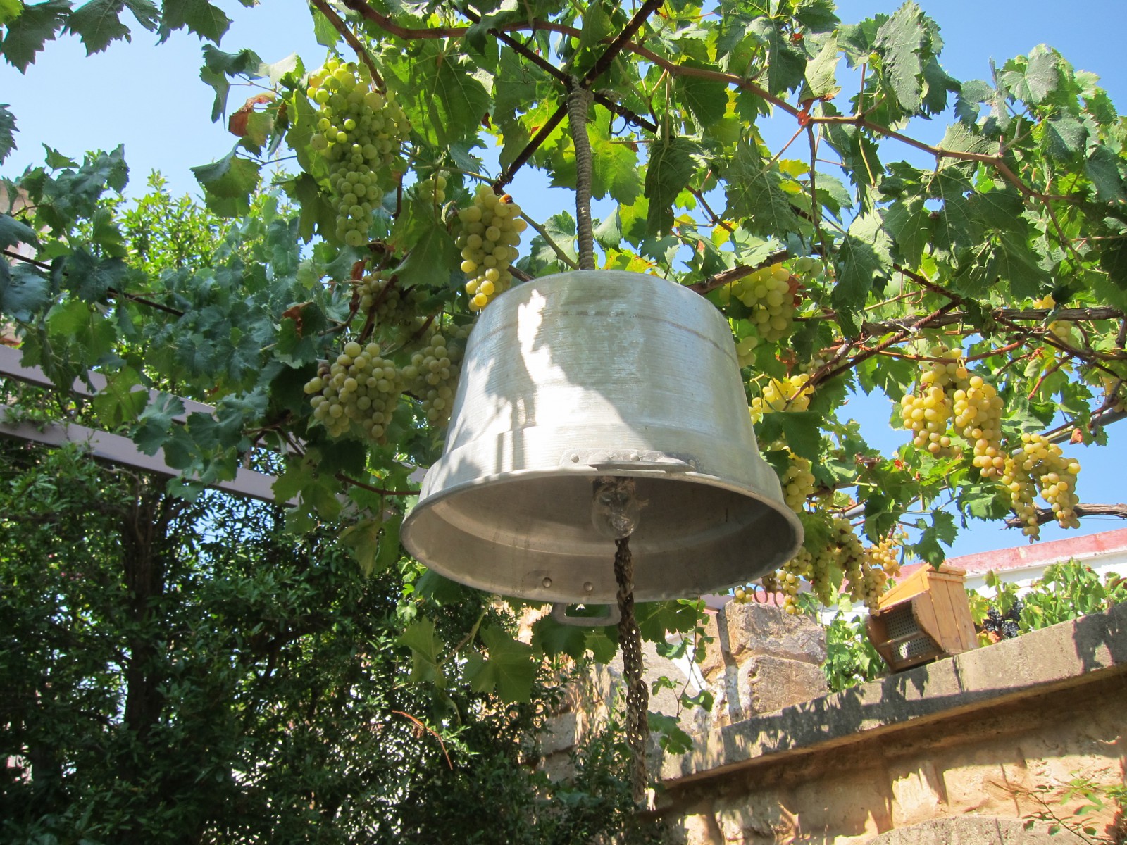 Плафон из подручных материалов, фото Алексеев Олег