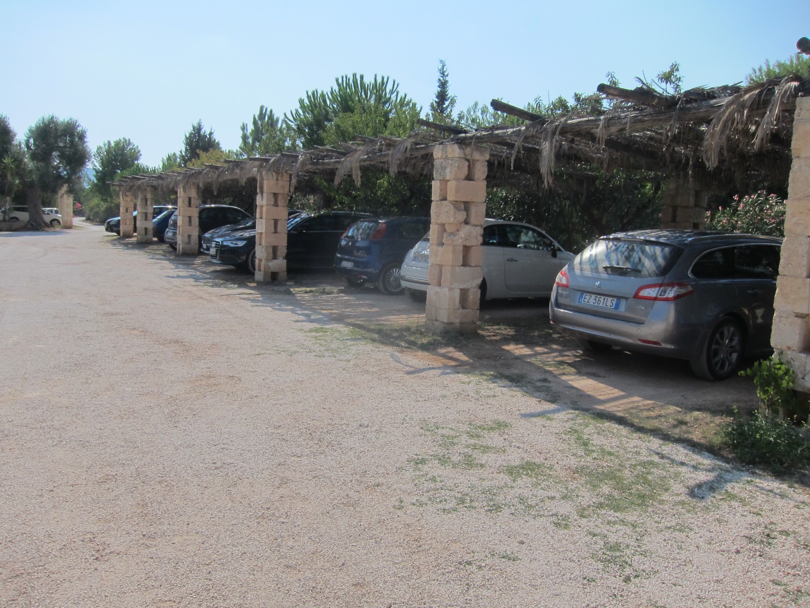  Алексеев Олег