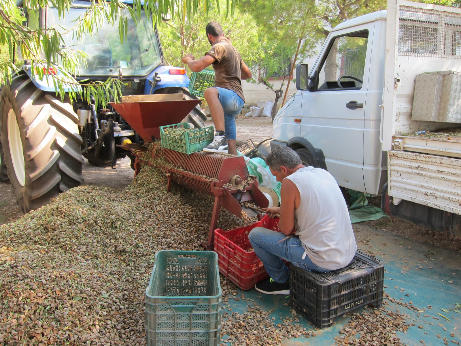 Алексеев Олег