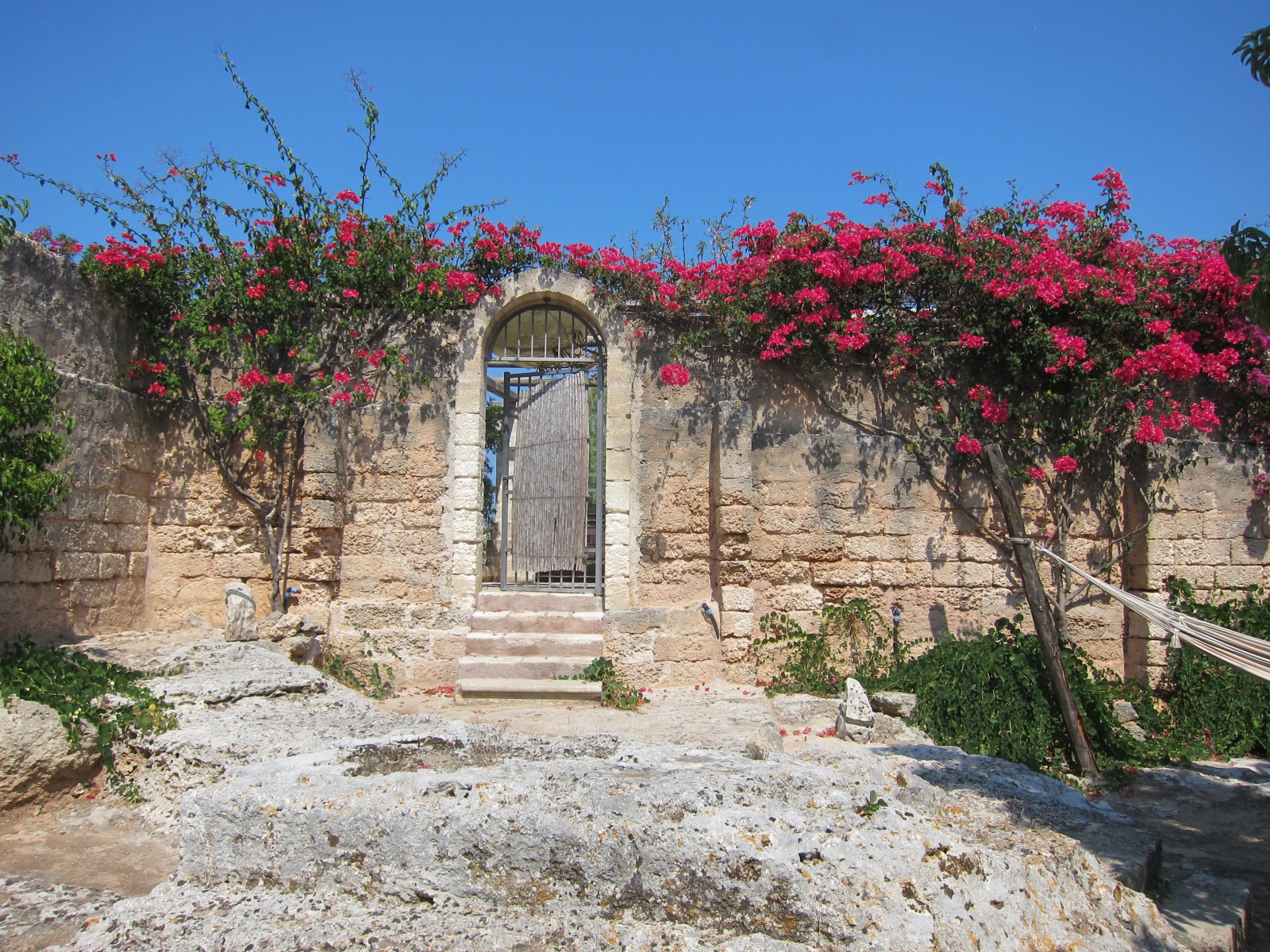  Алексеев Олег