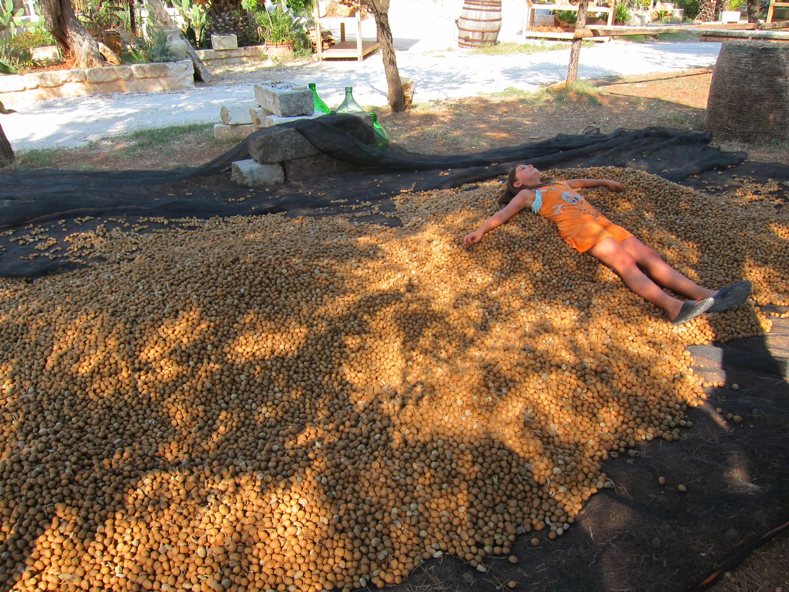  Алексеев Олег