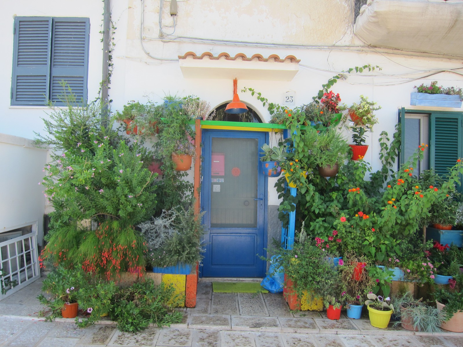 Ботанический сад у входа в свой дом, фото Олег Алексеев