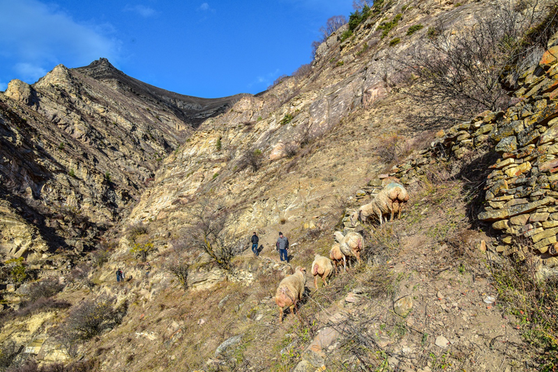 фото Татьяна Яковлева