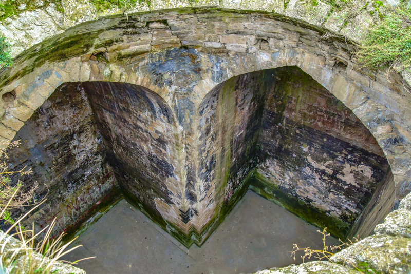 © Татьяна Яковлева