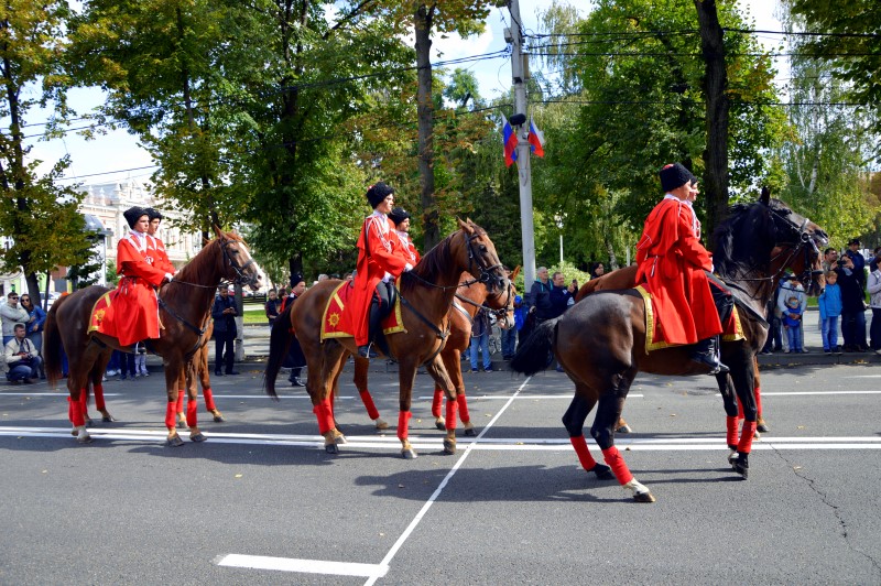 «Час славы Кубани», фото Анастасия Супрун