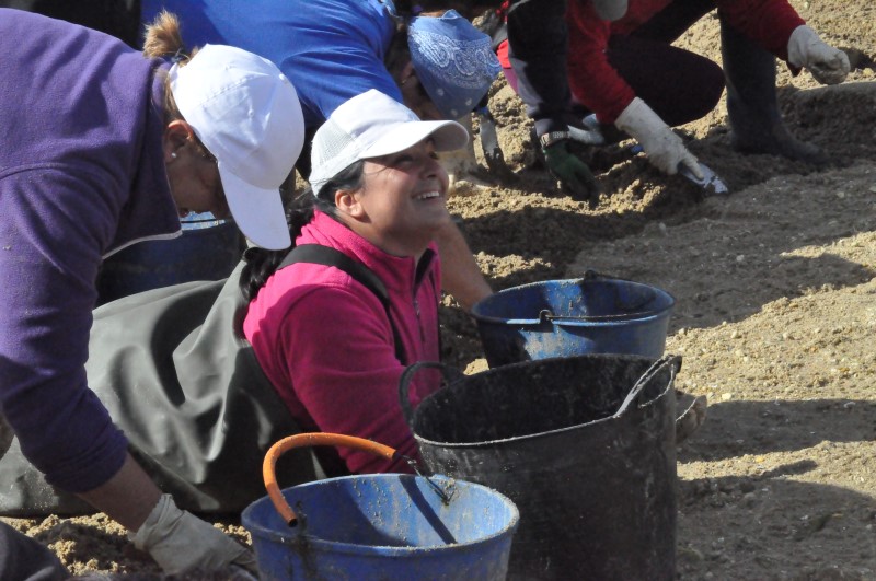 Присядешь отдохнуть, в очередная порция добычи - уже у подруги, фото Константин Исааков