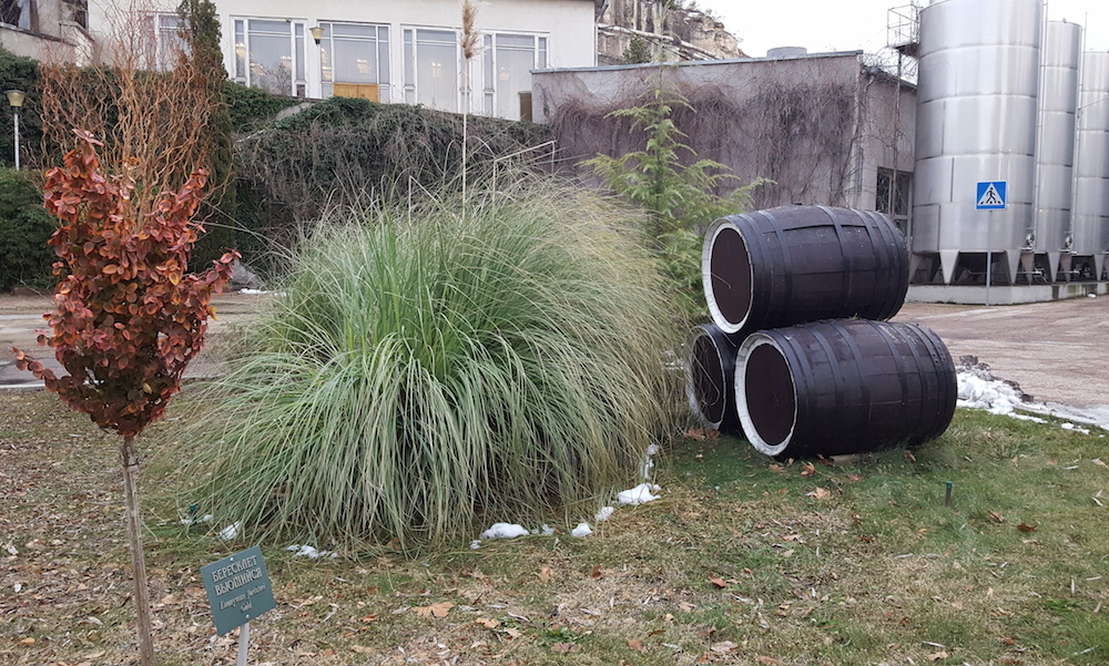 В Крыму активно развивается эногастрономический туризм, © Мария Нестерова