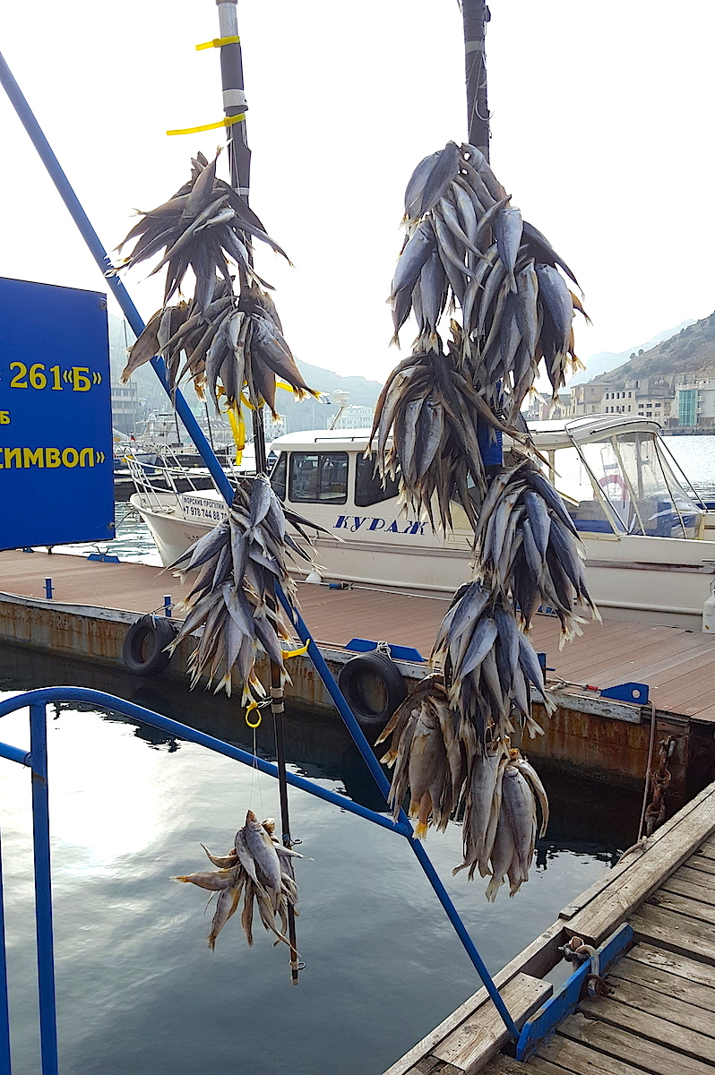 Гирлянды сушеной рыбы - балаклавские бананы, © Нестерова М.