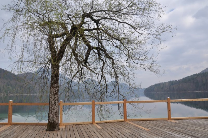 На озерах региона Зальцкаммергут, © Александра Полянская