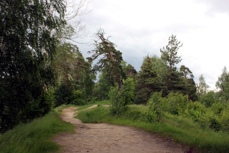 Земляные валы в Городце, © Е.Веденьев