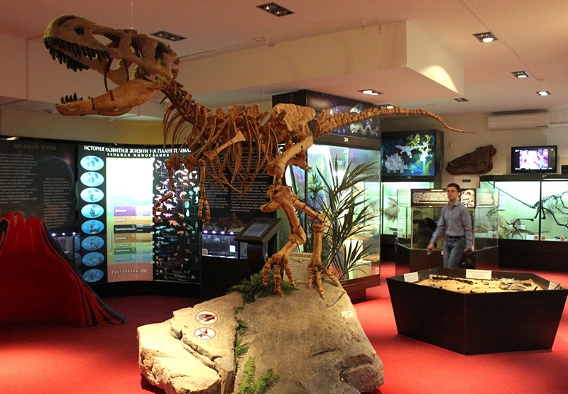 Палеонтологический музей в Кирове, © Е.Веденьев