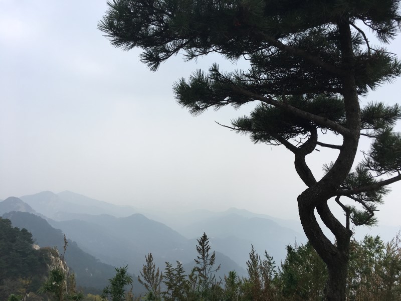 Императоры благодарили небо за красоту гор, © А.Полянская