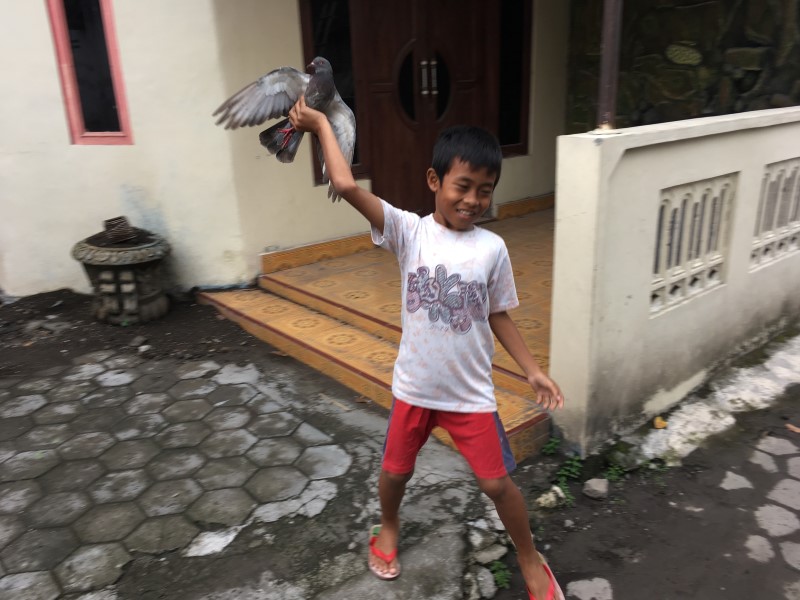 Деревенские развлечения А.Полянская