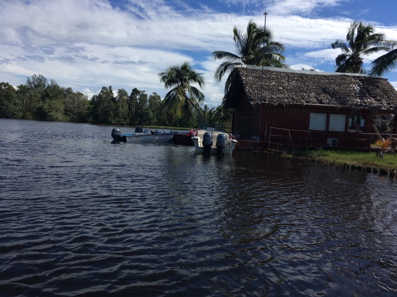 © Александра Полянская