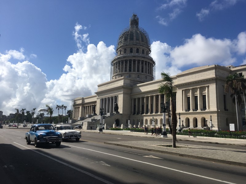 © Александра Полянская