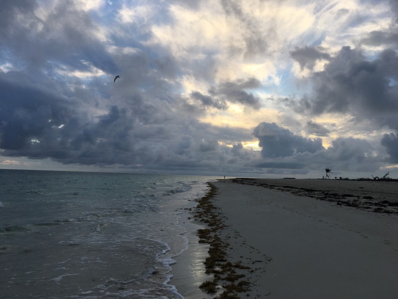 © Александра Полянская