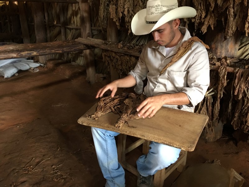 © Александра Полянская