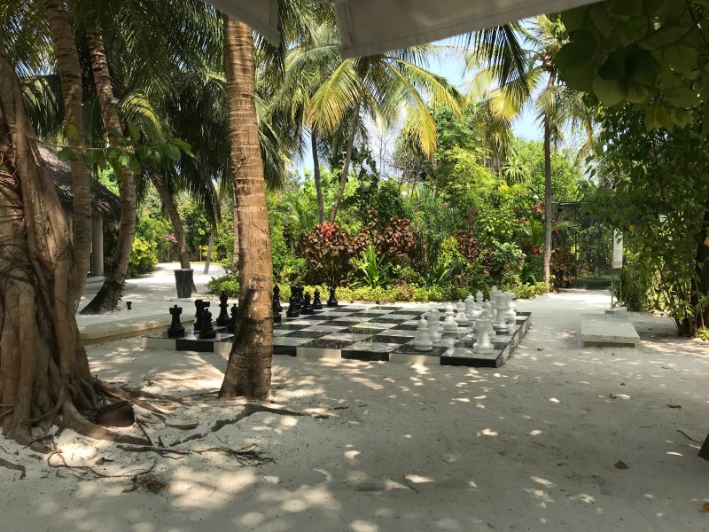 А не сделать ли ход конем?, © О.Алексеев