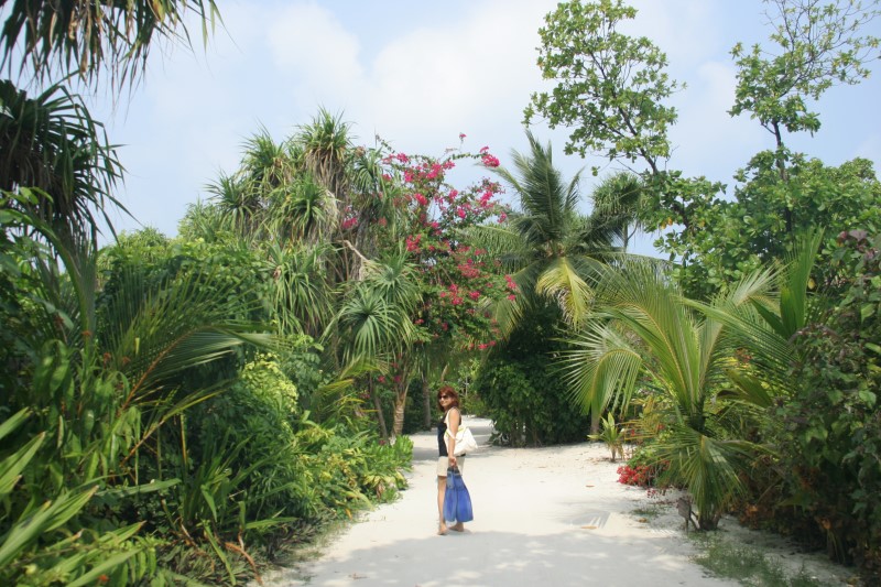 В джунгли? или на пляж?, © О.Алексеев