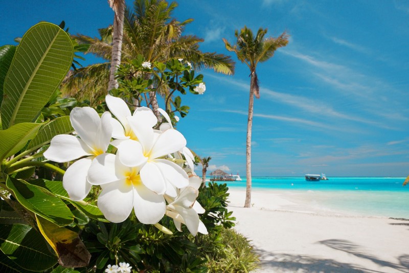 Белоснежно-жемчужные пляжи и аквамариновые воды лагуны