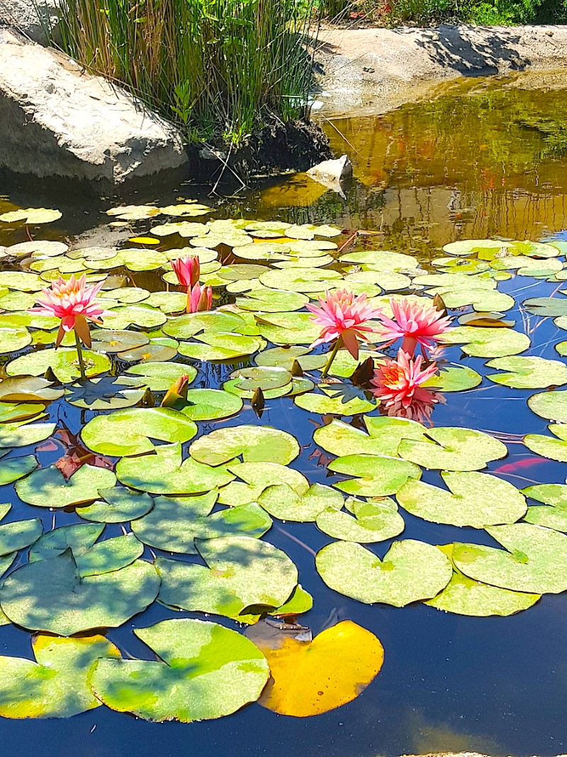 В Бенидорме много отелей с велнесс и СПА центрами, © Нестерова М.