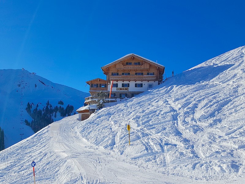 © Нестерова М.