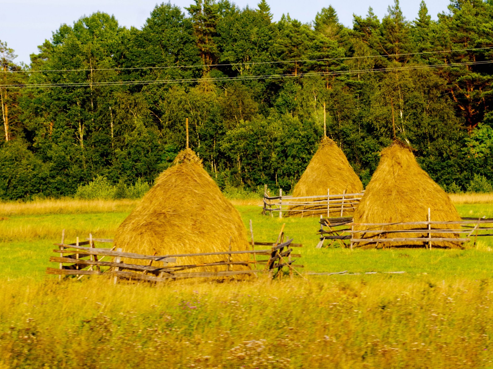 Природа Вытегорского района, © Леднёва В.