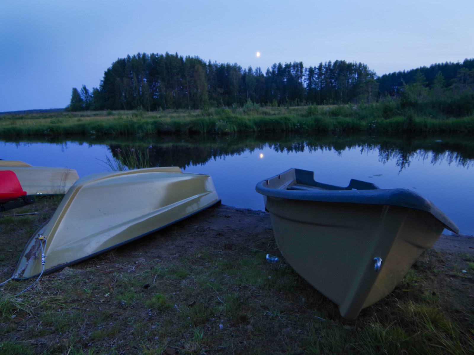 © Леднёва В.