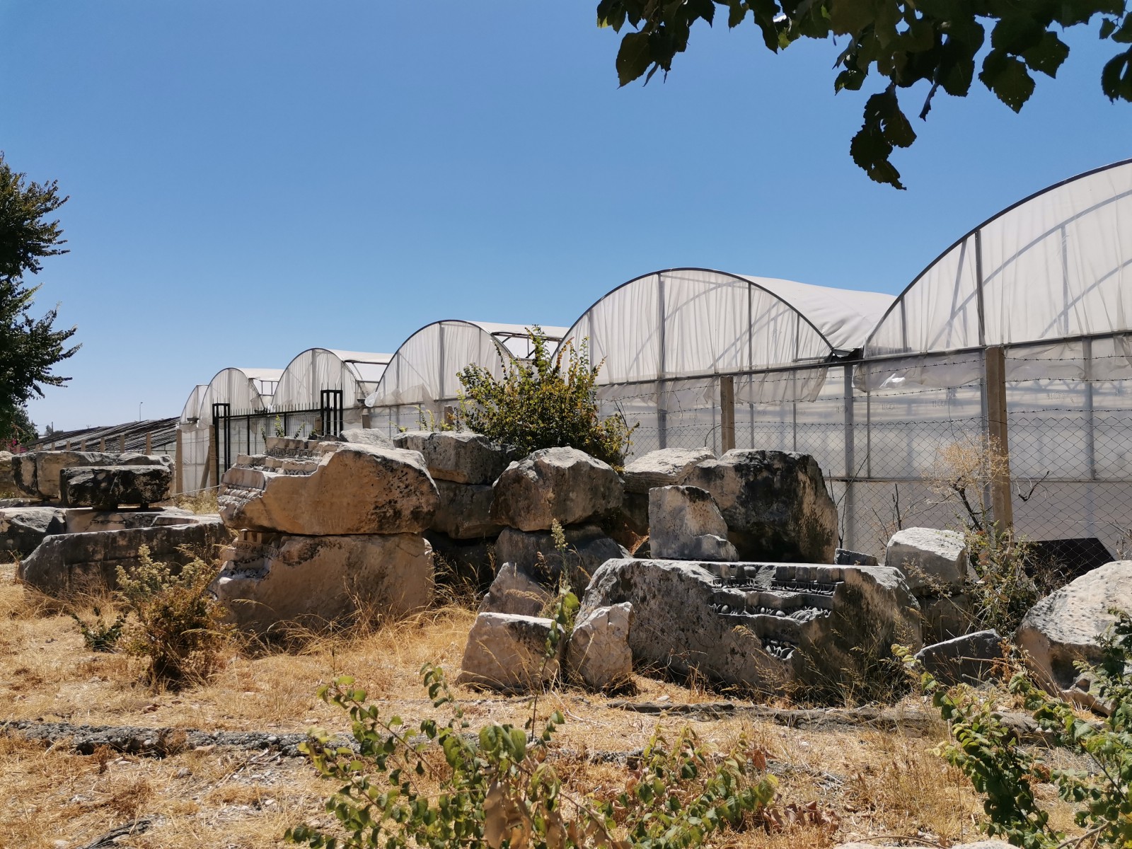 Теплицы Демре у Ликийских гробниц, © Алексеев Олег