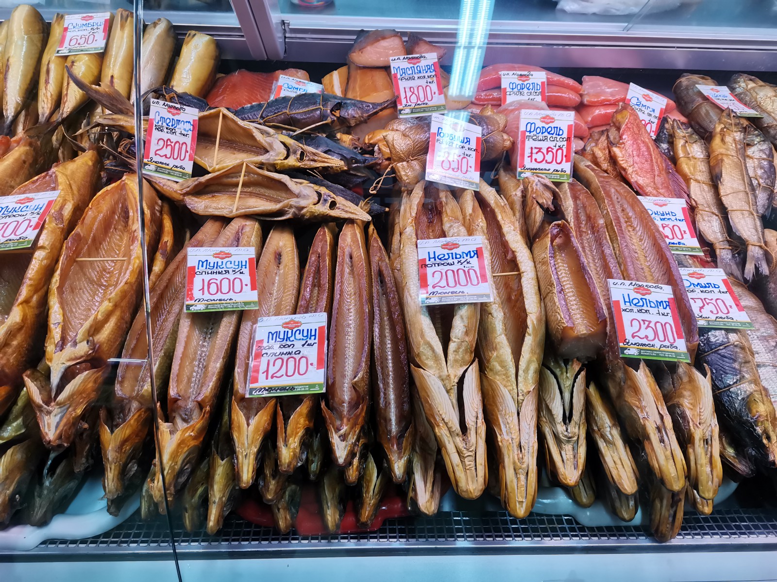 Большой выбор рыбы, © О.Алексеев