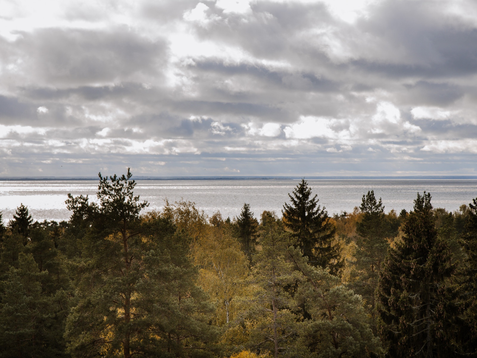 Курортный район Санкт-Петербурга