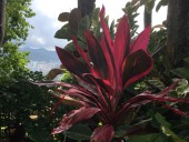 Жизнь на Хайнани умиротворенная и тихая, что несвойственно материковому Китаю