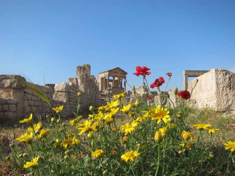 Дугга, © Алексеев О.